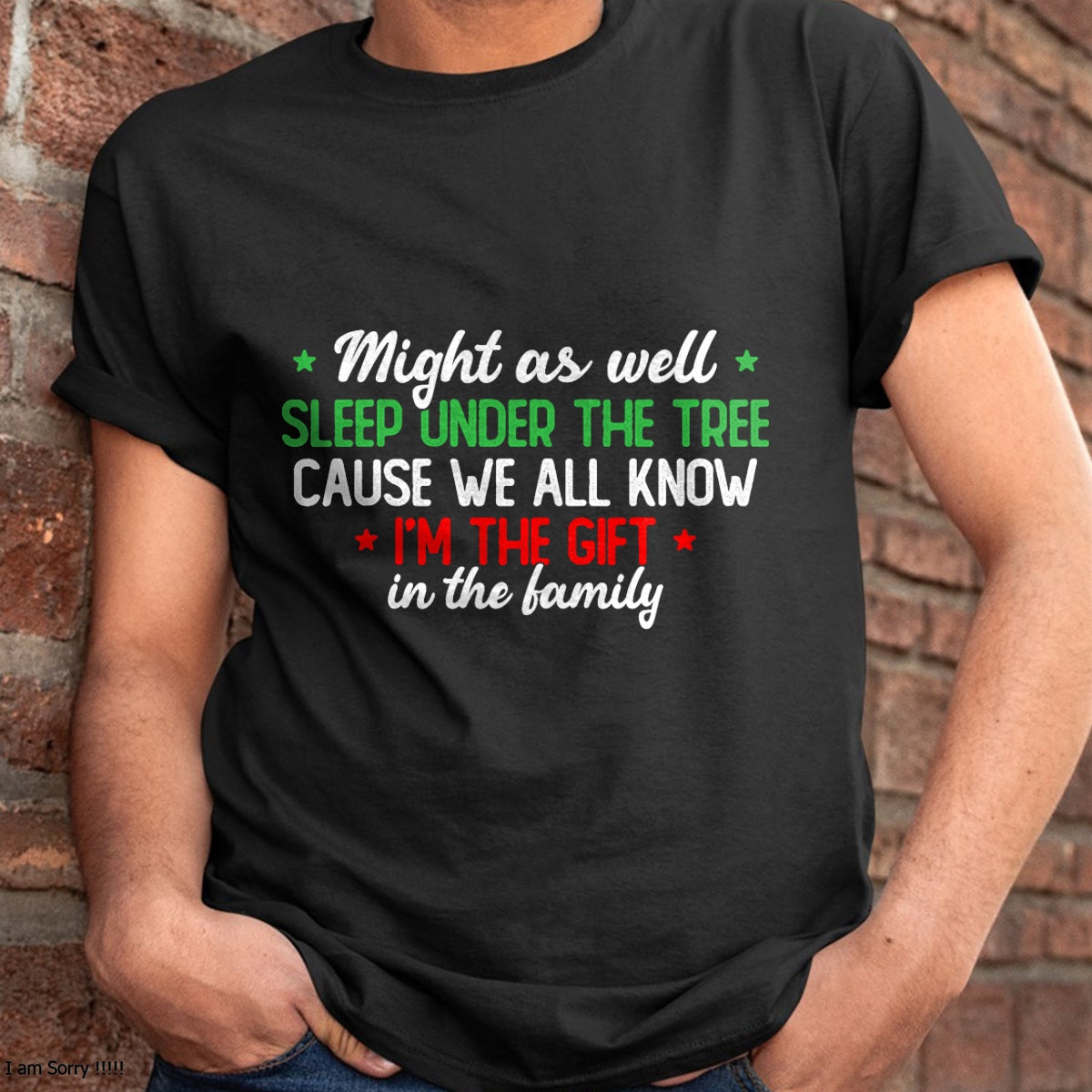 Christmas Humor Men Women Favorite Person Funny Christmas T-Shirt - Christmas Unisex T-Shirt/Hoodie/Sweatshirt - HNDS00
