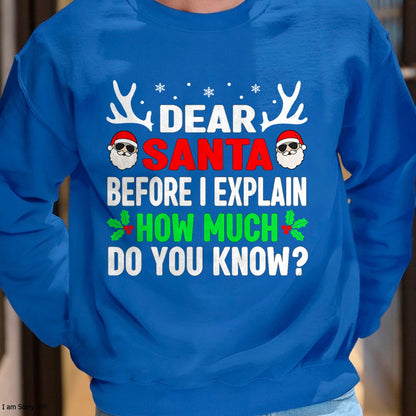 Funny Christmas Kids Adults Dear Santa I Can Explain T-Shirt - Christmas Unisex T-Shirt/Hoodie/Sweatshirt - HNDS00