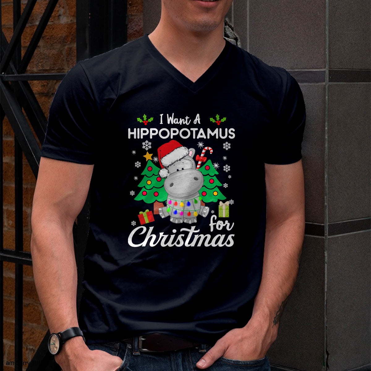 I Want A Hippopotamus For Christmas Cute Gift Xmas Costume T-Shirt - Christmas Unisex T-Shirt/Hoodie/Sweatshirt - HNDS00