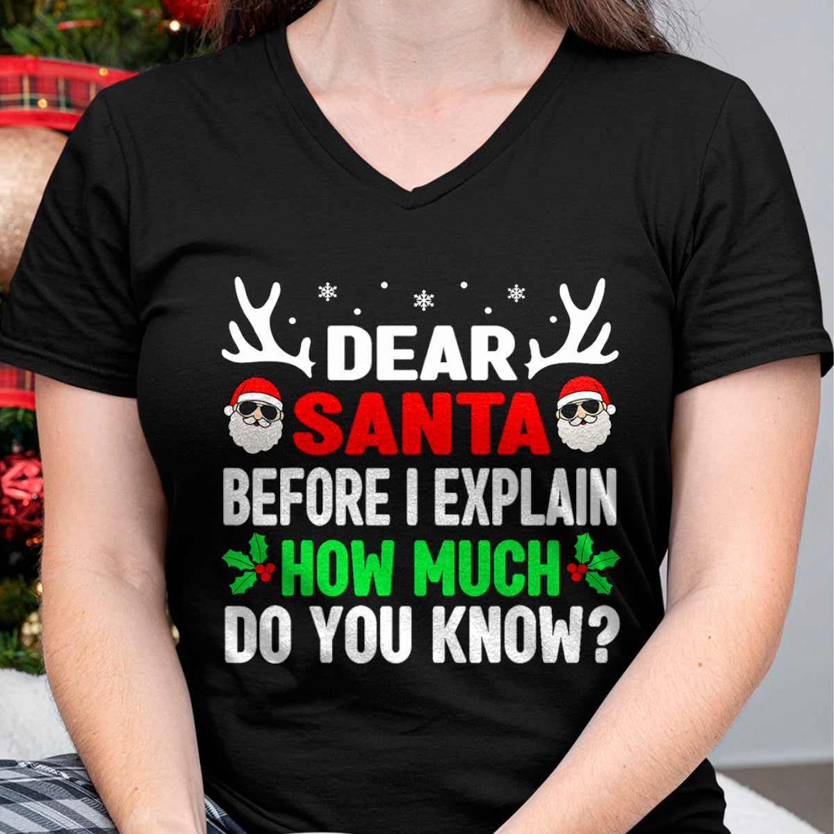 Funny Christmas Kids Adults Dear Santa I Can Explain T-Shirt - Christmas Unisex T-Shirt/Hoodie/Sweatshirt - HNDS00