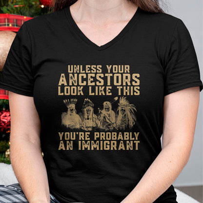 Native American T-Shirts, Vintage Native American Unisex T-Shirt/Hoodie/Sweatshirt HLT00 - American Flag - American Indian You're Probably An Immigrant T-Shirt (1)