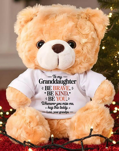 TO MY GRANDDAUGHTER - TEDDY BEAR, A BIG HUG FROM GRANDPA - EBIL00