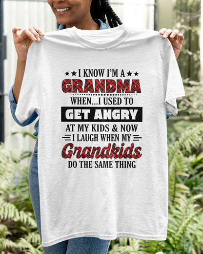 KNOW I'M A GRANDMA WHEN... I USED TO GET ANGRY AT MY KIDS & NOW I LAUGH WHEN MY GRANDKIDS DO THE SAME THING - from grandma EBIL00 (SKU07-111)