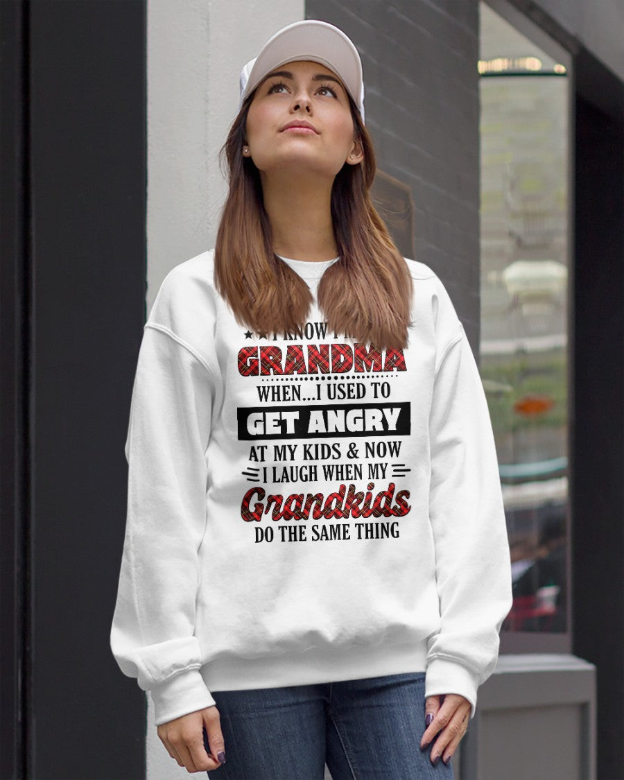 KNOW I'M A GRANDMA WHEN... I USED TO GET ANGRY AT MY KIDS & NOW I LAUGH WHEN MY GRANDKIDS DO THE SAME THING - from grandma EBIL00 (SKU07-111)